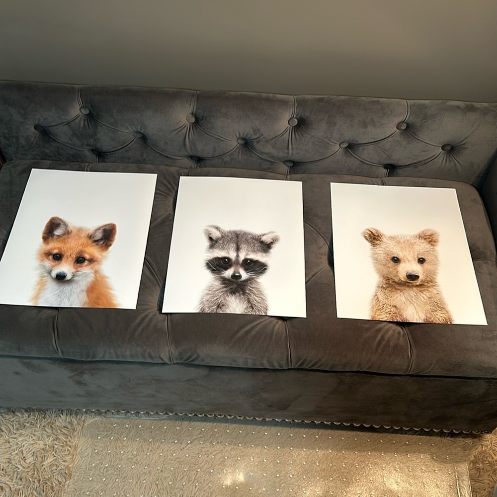 Crown prints animal pictures